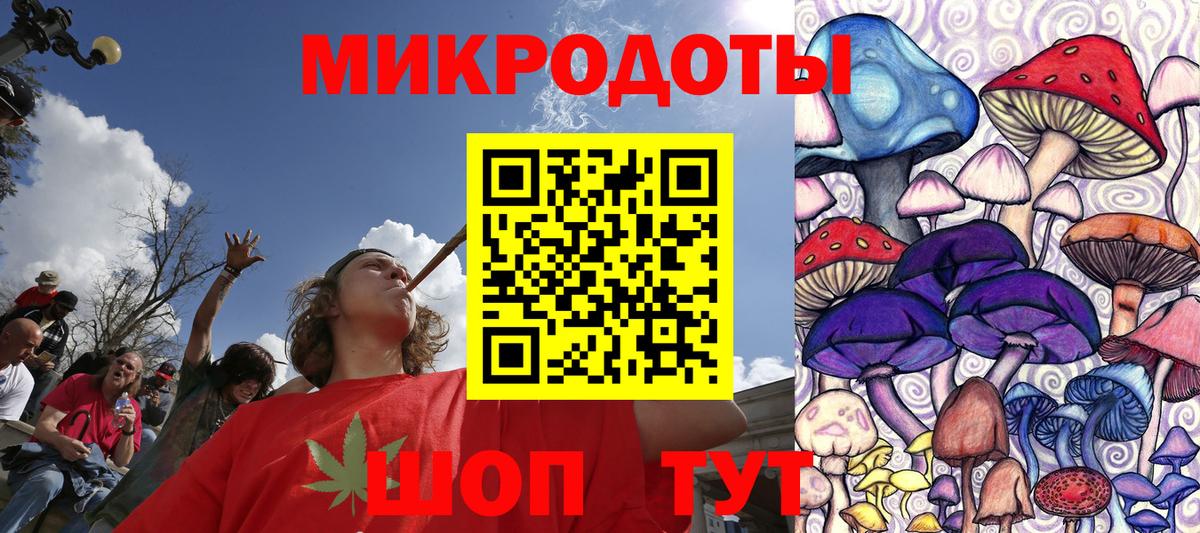Нерюнгри  Псилоцибиновые грибы Psilocybine cubensis  Вход с VPN  Псилоцибиновые грибы прущие грибы 