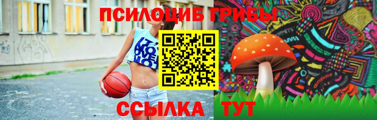 Галлюциногенные грибы Psilocybine cubensis Нерюнгри